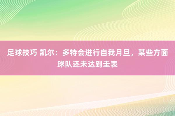 足球技巧 凯尔：多特会进行自我月旦，某些方面球队还未达到圭表