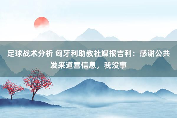 足球战术分析 匈牙利助教社媒报吉利：感谢公共发来道喜信息，我没事