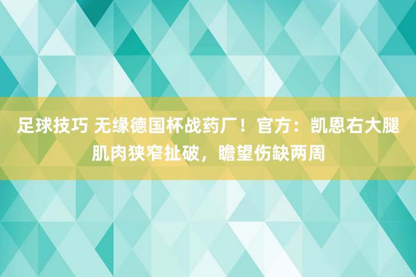 足球技巧 无缘德国杯战药厂！官方：凯恩右大腿肌肉狭窄扯破，瞻望伤缺两周