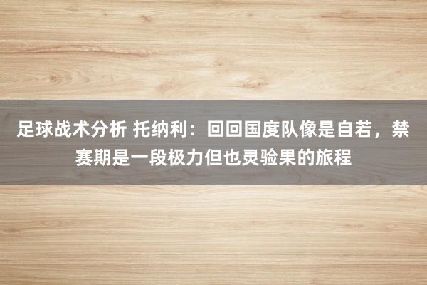 足球战术分析 托纳利：回回国度队像是自若，禁赛期是一段极力但也灵验果的旅程