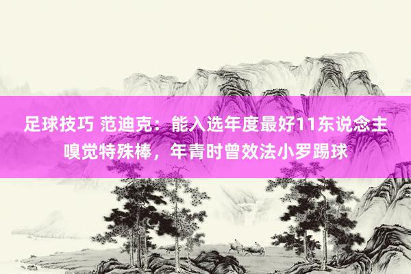 足球技巧 范迪克：能入选年度最好11东说念主嗅觉特殊棒，年青时曾效法小罗踢球