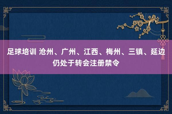 足球培训 沧州、广州、江西、梅州、三镇、延边仍处于转会注册禁令