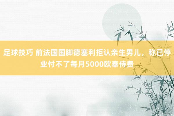 足球技巧 前法国国脚德塞利拒认亲生男儿，称已停业付不了每月5000欧奉侍费