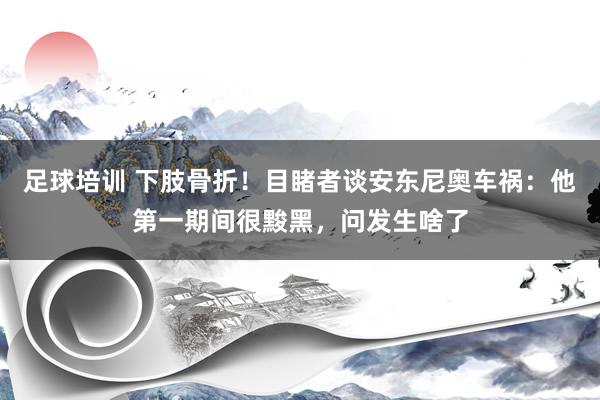 足球培训 下肢骨折！目睹者谈安东尼奥车祸：他第一期间很黢黑，问发生啥了