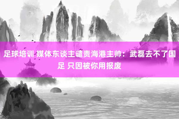 足球培训 媒体东谈主谴责海港主帅：武磊去不了国足 只因被你用报废