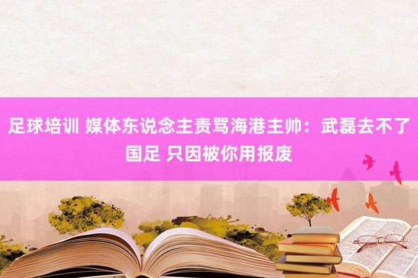 足球培训 媒体东说念主责骂海港主帅：武磊去不了国足 只因被你用报废