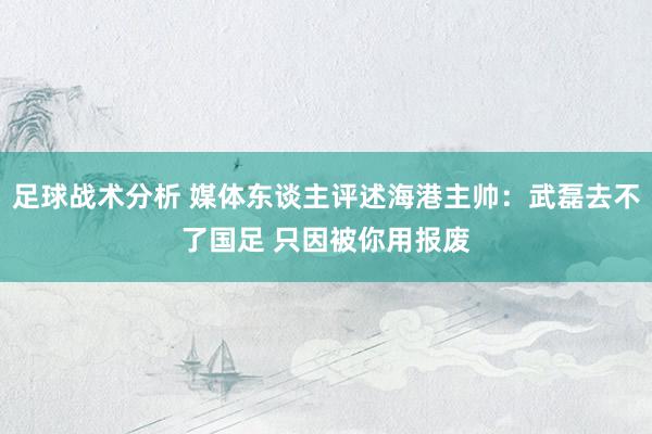 足球战术分析 媒体东谈主评述海港主帅：武磊去不了国足 只因被你用报废